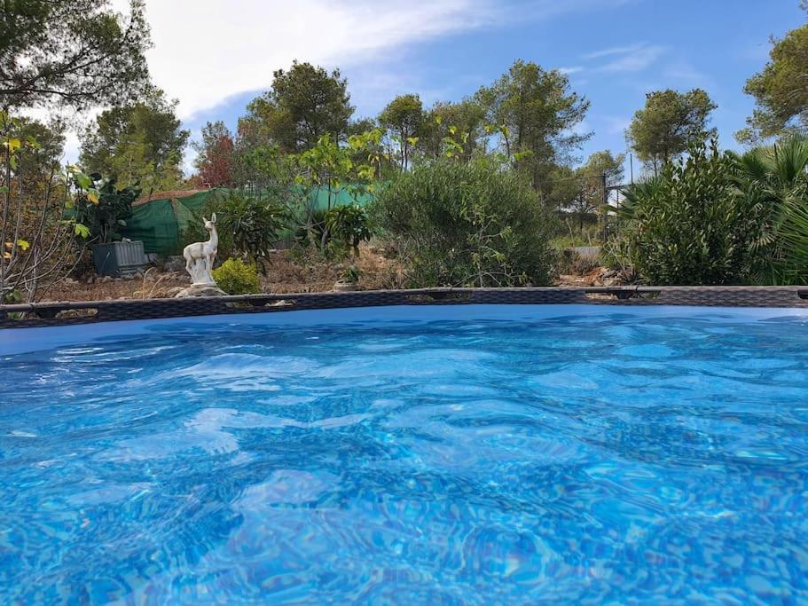 Le Petit Paradis Olivella ภายนอก รูปภาพ