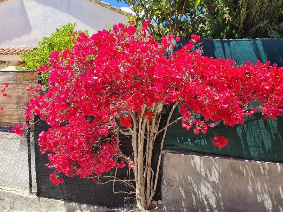 Le Petit Paradis Olivella ภายนอก รูปภาพ
